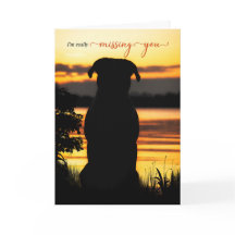 恋しく思夕焼けの湖のシルエット