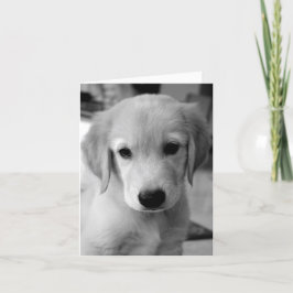 恋しく思子犬の カード