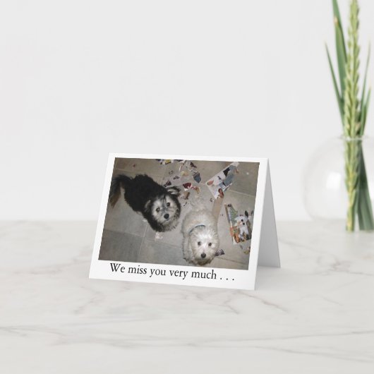 恋しく思子犬 カード (正面)