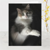 恋しく思子猫 カード (黄色い花)