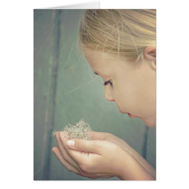 恋しく思手にタンポポ種 (正面)