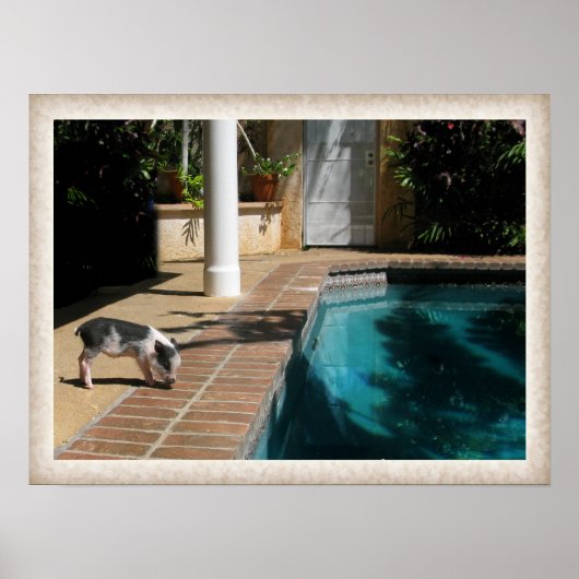 恋しく思楽園の豚 ポスター (正面)