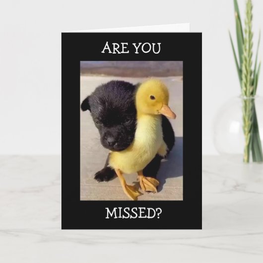 恋しく思毎分、時、日々！カード カード (正面)