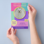 恋しく思犬の写真モダンカラフルポスター チラシ (ハンドル)