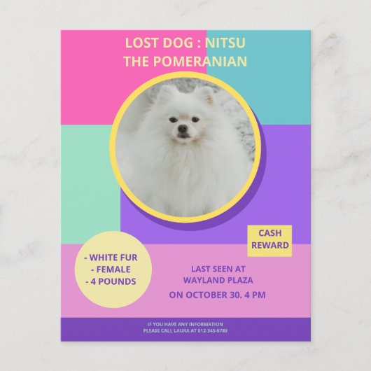 恋しく思犬の写真モダンカラフルポスター チラシ (正面)