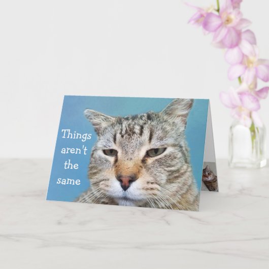 恋しく思猫 カード (蘭)