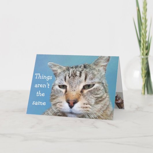 恋しく思猫 カード (正面)