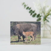 恋しく思葉書 ポストカード (スタンド正面)