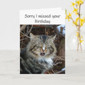 恋しく思誕生日猫写真あいさつ カード (黄色い花)