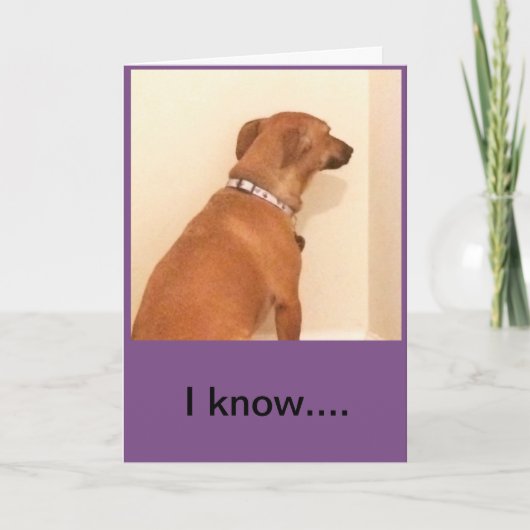 恋しく思誕生日 – ごめんなさい カード (正面)