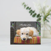 恋しく思金のドードル葉書 ポストカード (スタンド正面)