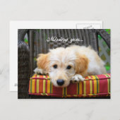 恋しく思金のドードル葉書 ポストカード (正面/裏面)