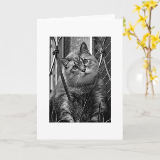 恋しく思 カード (黄色い花)