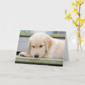 恋しく思 カード (黄色い花)