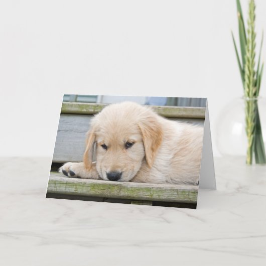 恋しく思 カード (正面)