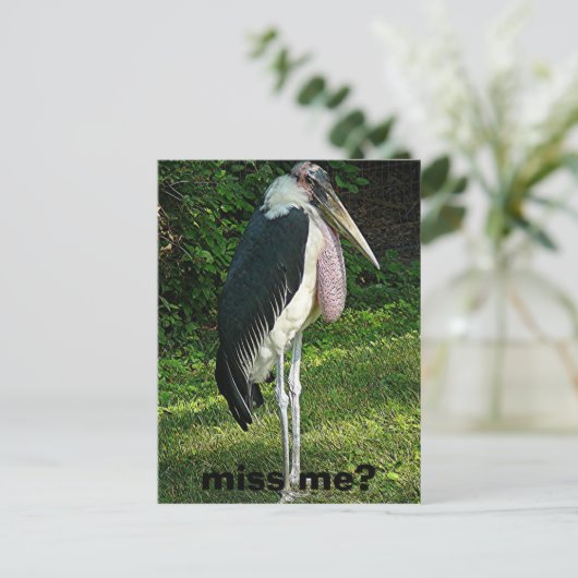 恋しく思? ポストカード (スタンド正面)