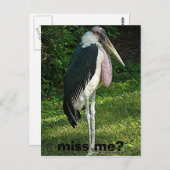 恋しく思? ポストカード (正面/裏面)