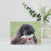 恋しく思 ポストカード (スタンド正面)