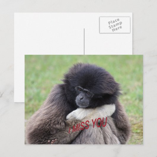 恋しく思 ポストカード (正面/裏面)