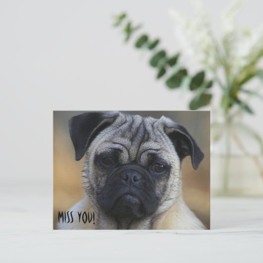 恋しく思! ポストカード (スタンド正面)