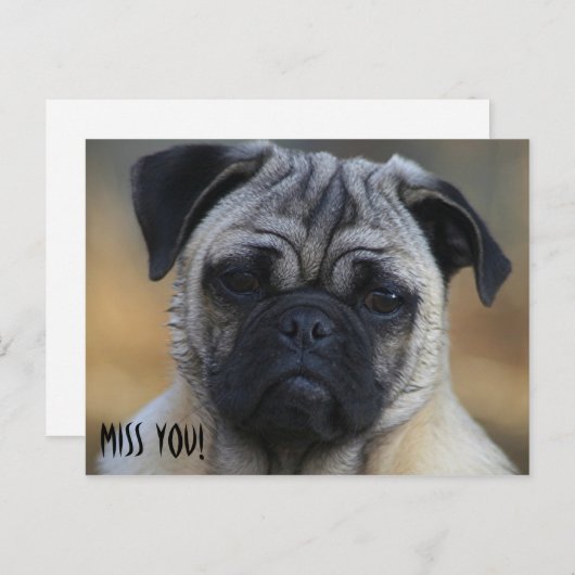 恋しく思! ポストカード (正面/裏面)