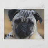 恋しく思! ポストカード (正面)