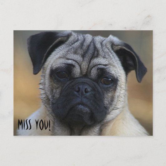 恋しく思! ポストカード (正面)