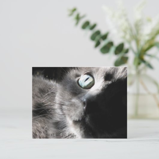 "恋しく思 ポストカード (スタンド正面)