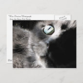 "恋しく思 ポストカード (正面/裏面)