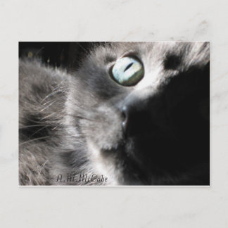 "恋しく思 ポストカード