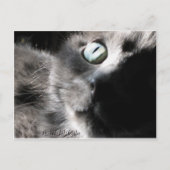 "恋しく思 ポストカード (正面)