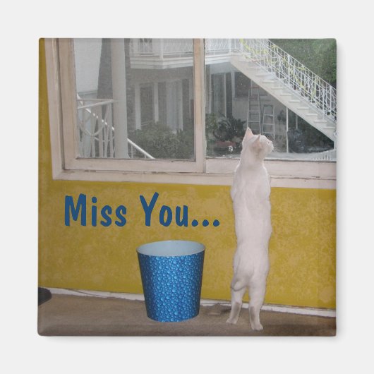 恋しく思...マグネット! マグネット (正面)