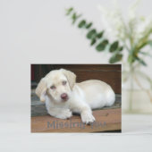 '恋しく思 You YellowラブラドールRetriever ポストカード (スタンド正面)