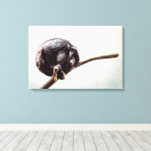 恋しく思s You Lonely Urban Chimpanzee Monkey キャンバスプリント (インサイチュ (ウッドフロア))