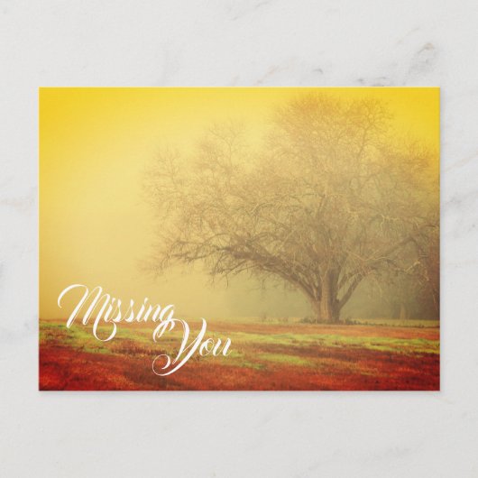 恋しく思You Landscape ポストカード (正面)