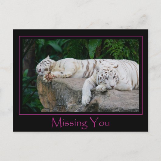 恋しく思You Post Card ポストカード (正面)