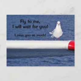 恋しく思You - Seagull Postague ポストカード