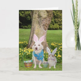 恋してるバニーがいるぞ! シーズンカード