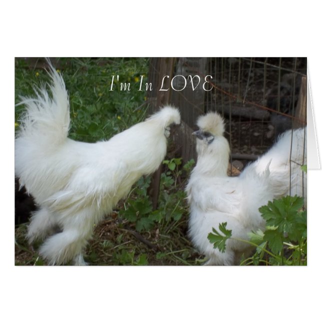 恋してる (正面横)