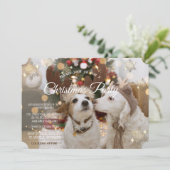 恋する犬たちのクリスマスパーティー 招待状 (スタンド正面)