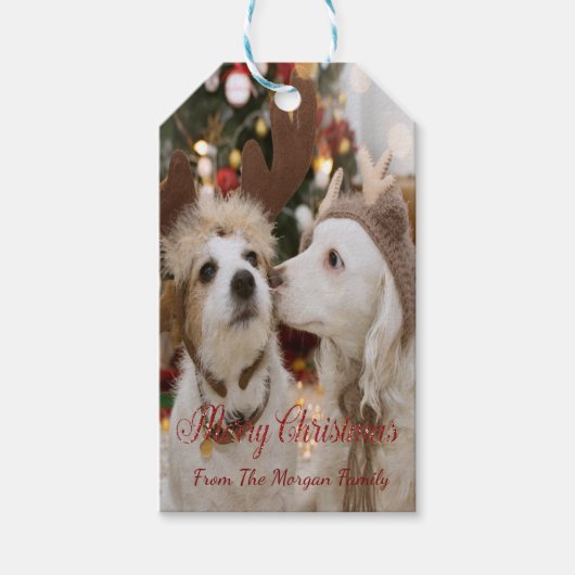恋する犬たちのメリークリスマス ギフトタグ (正面)