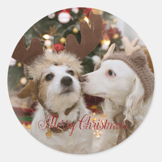 恋する犬たちのメリークリスマス ラウンドシール (正面)
