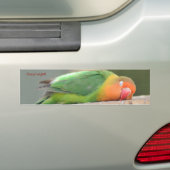恋する鳥の睡眠 バンパーステッカー (車上)