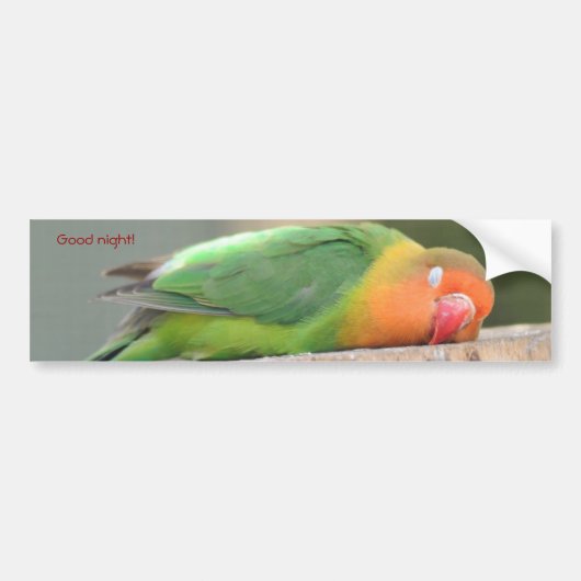 恋する鳥の睡眠 バンパーステッカー (正面)