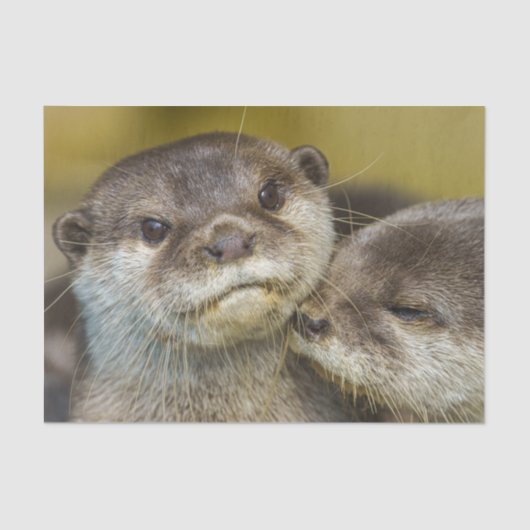 恋に夢中である 薄葉紙 (正面)