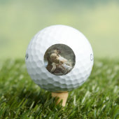 恋に悩むキスをする若い夫婦（恋愛小説） ゴルフボール (インサイチュ 木)