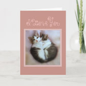 恋に落ちた子猫 カード (正面)