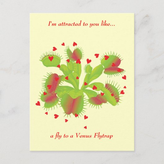 恋に落ちた庭師 ポストカード (正面)