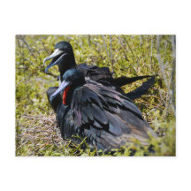 恋に落ちた雄大な修道士たち