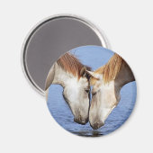 恋に落ちた馬 マグネット (正面/裏面)